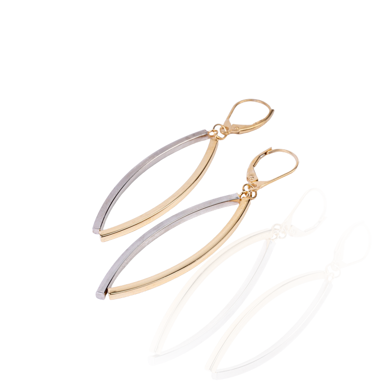 2-Tone Gold Dangling Earrings