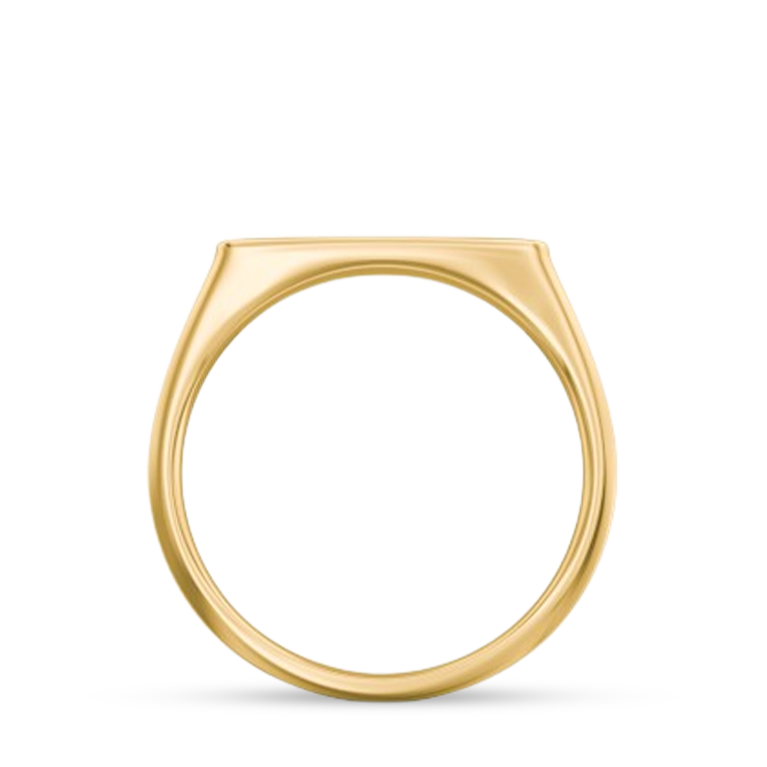 The Gold Bar Ring