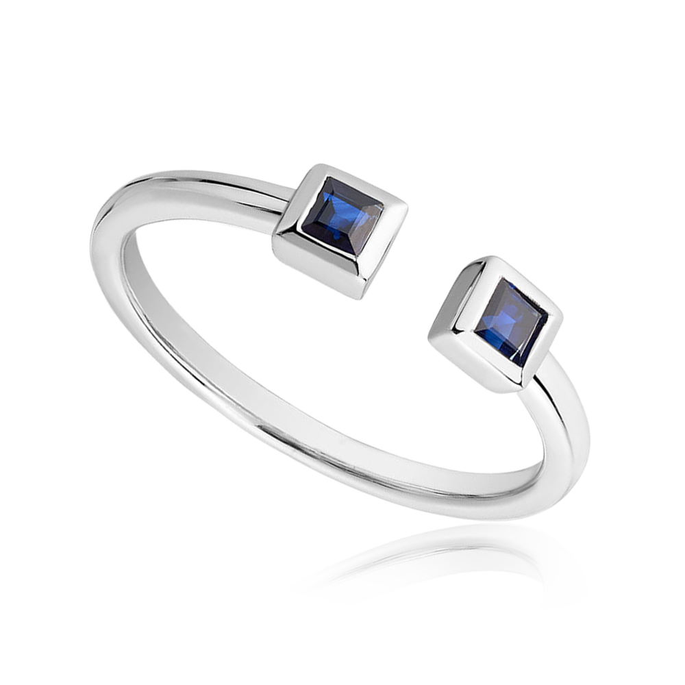 "Toi et Moi Princess" Blue Sapphire