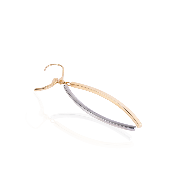 2-Tone Gold Dangling Earrings